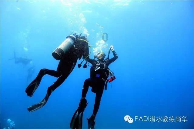 淘气兔救援